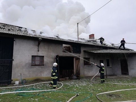 Wielki pożar w Stoku Polskim! Ewakuowano 60 tuczników - ZDJĘCIA