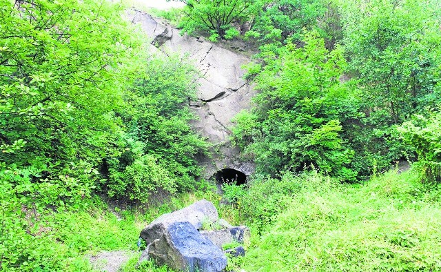 W lesie można znaleźć liczne wejścia do podziemi. Wśród okolicznych mieszkańców krążą m.in. opowieści o tunelu łączącym osiedle Antonówka z dworcem kolejowym w Kamiennej Górze