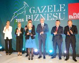 OiFP. Gazele Biznesu 2016. Puls Biznesu wskazał Electrum (zdjęcia)