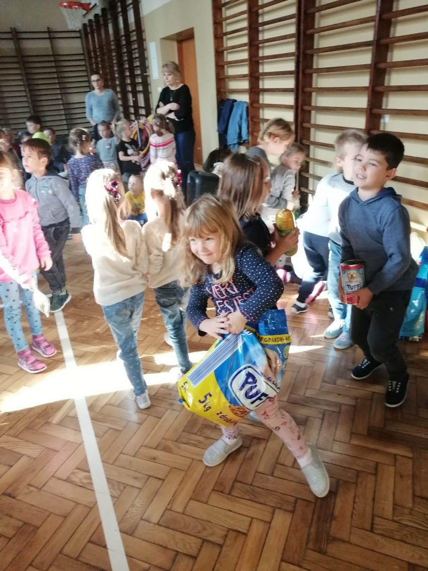 Dzień Kundelka i akcja „Pełna miska dla schroniska” w przedszkolu Wąchocku [ZDJĘCIA]