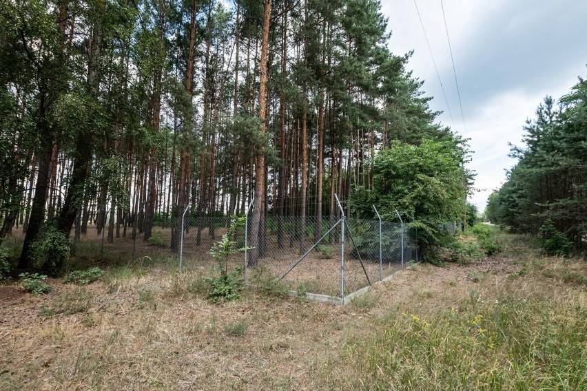 Puszcza Notecka: Zamek na wodzie. Stobnica na ustach całej...