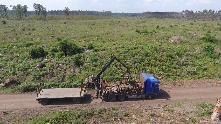 Trwa wielkiego sprzątanie w lasach w okolicach Kuźni...