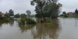 Powódź w Lubuskiem. Brzeźnica podtopiona - ludzie odcięci od świata