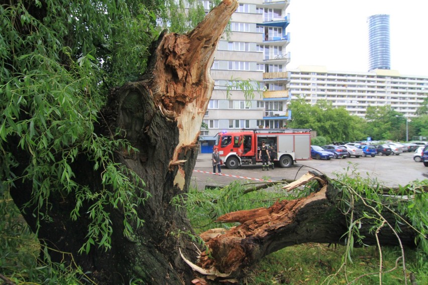 Intensywne burze z gradem i silnym wiatrem we Wrocławiu (RADAR ONLINE, PROGNOZA)