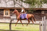 Szarża husarska, turnieje i pokazy łucznictwa konnego. Dzień Tradycji Rzeczpospolitej już za nami (FOTO)