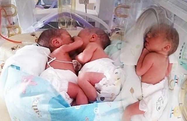 W Szpitalu Miejskim w Rudzie Śląskiej 17.10 2020 urodziły się kolejne trojaczki. To dziewczynka i dwóch chłopców.Zobacz kolejne zdjęcia. Przesuwaj zdjęcia w prawo - naciśnij strzałkę lub przycisk NASTĘPNE 