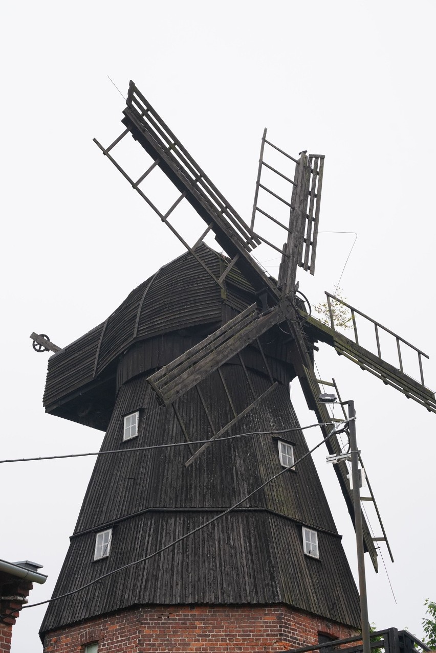 XIX-wieczny wiatrak typu holenderskiego znajdujący się przy...