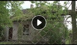 Dankowice pod Częstochową: Wiatr zwalił drzewo na dach domu [WIDEO]