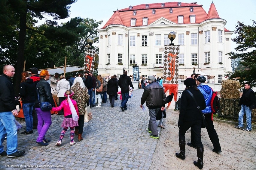 Wrocław: Rycerze i pokazy walk na jarmarku w Leśnicy (ZDJĘCIA, PROGRAM)