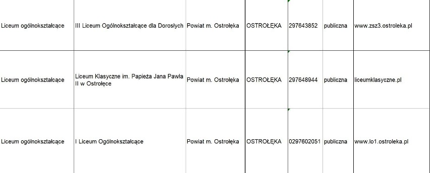 Rekrutacja do szkół średnich 2019. Terminy, wykaz szkół: Ostrołęka, powiaty: ostrołęcki, makowski, ostrowski. Ciekawe kierunki w szkołach