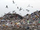 Przetarg na wywóz śmieci wygrało miejskie PUK. Podpisanie umowy za tydzień