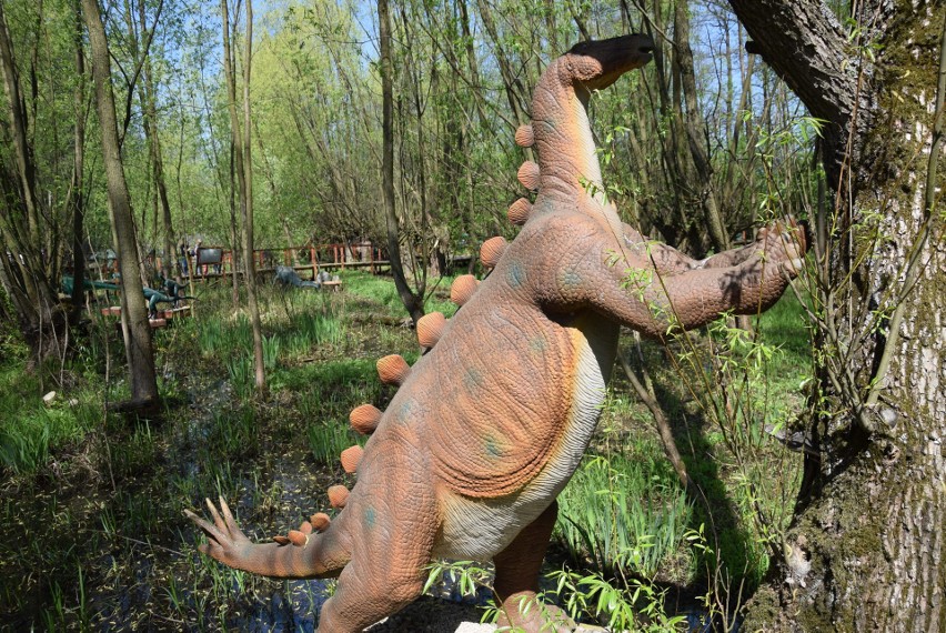 Z zimowego snu obudziły się dinozaury w Zatorlandzie. Dołączył do nich największy jaki żył i jaki wybudowano na świecie [ZDJĘCIA, WIDEO] 