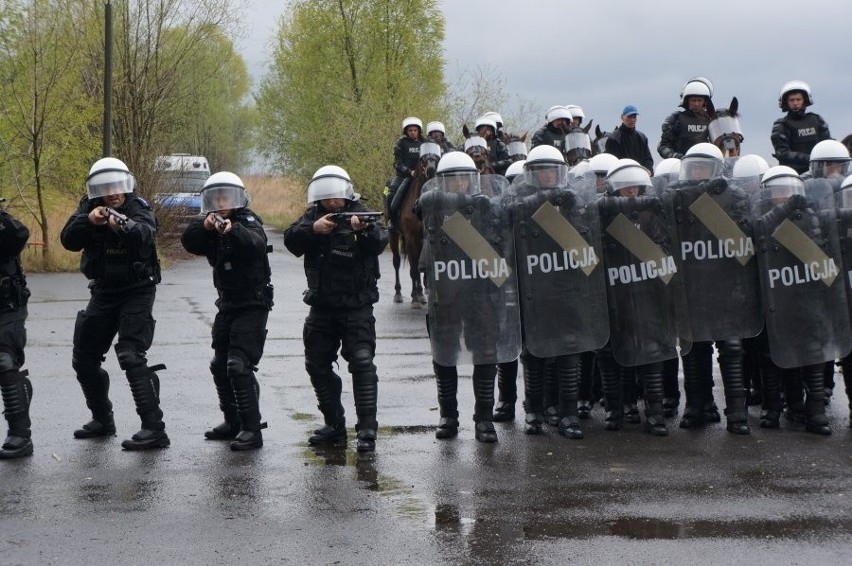 Ćwiczenia policji konnej w Chorzowie
