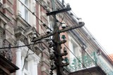 Bez prądu i wody we Wrocławiu na tydzień przed Bożym Narodzeniem. Długa lista adresów. Kiedy zacząć nastawiać świąteczny bigos?