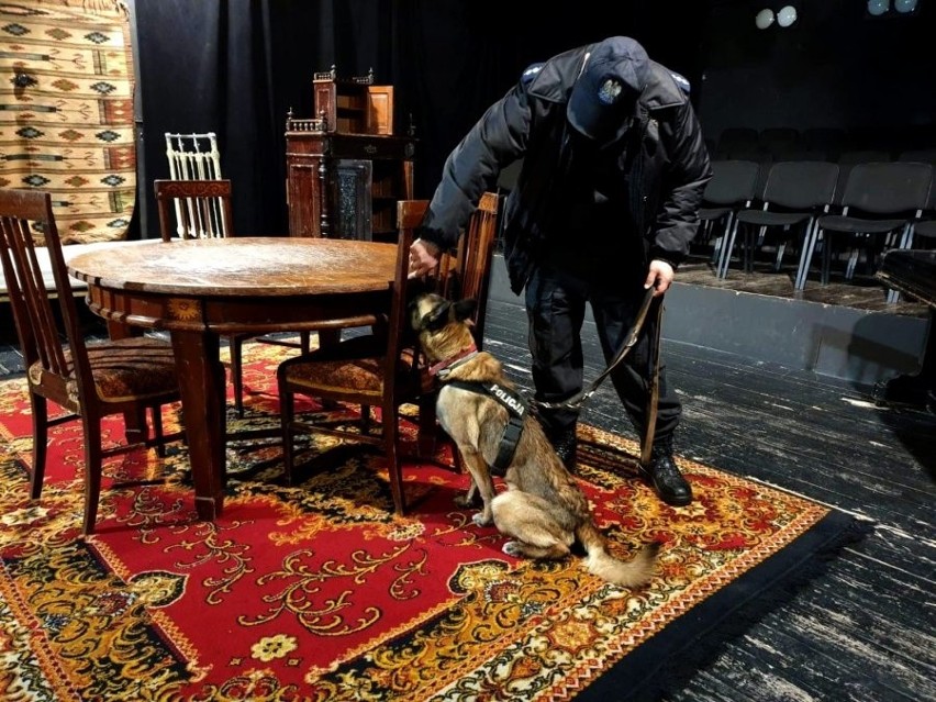 Policjanci z psami służbowymi w Teatrze Dramatycznym....