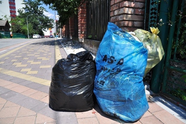 Brak koszy na śmieci dla właścicieli domów jednorodzinnych w Tarnobrzegu to największy kłopot w naszym mieście po wejściu w życie nowej "ustawy śmieciowej".