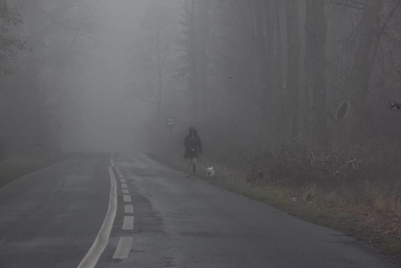 Meteorolodzy zapowiadają gęste mgły