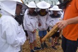 Tychy. Półkolonie w pasiece z budżetu obywatelskiego. Zobaczcie zdjęcia