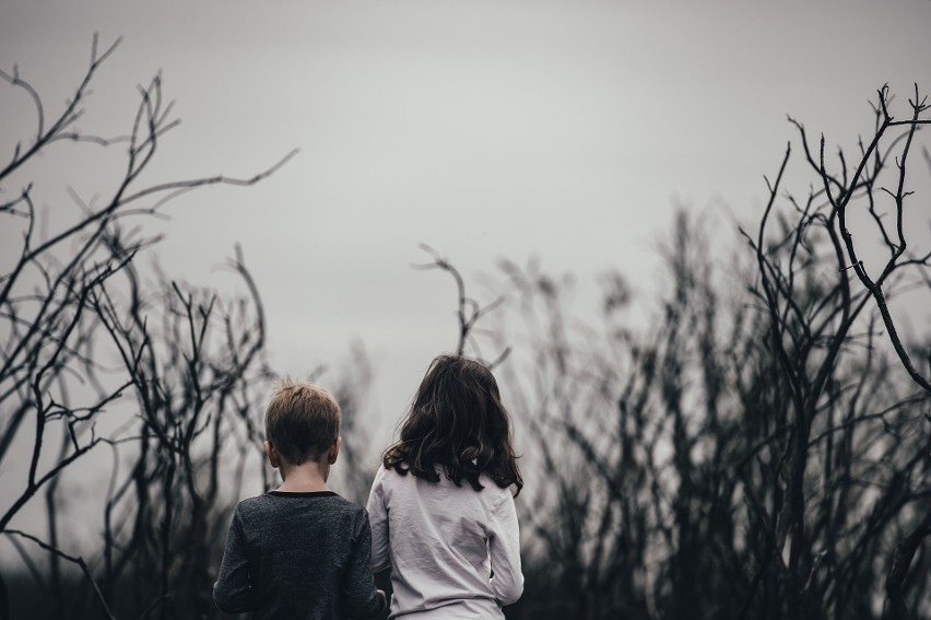 Ośrodki adopcyjne pod lupą NIK. Nieprawidłowości w procesach...