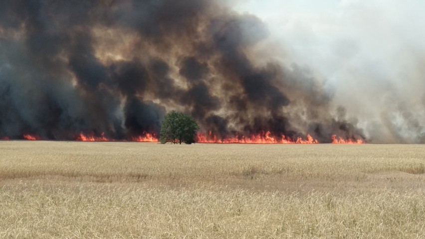 Wielki pożar na Żernikach we Wrocławiu. Dym było widać w całym mieście