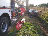 Śmiertelny wypadek w Trzęsaczu pod Bydgoszczą. Auto uderzyło w drzewo (DW 256)