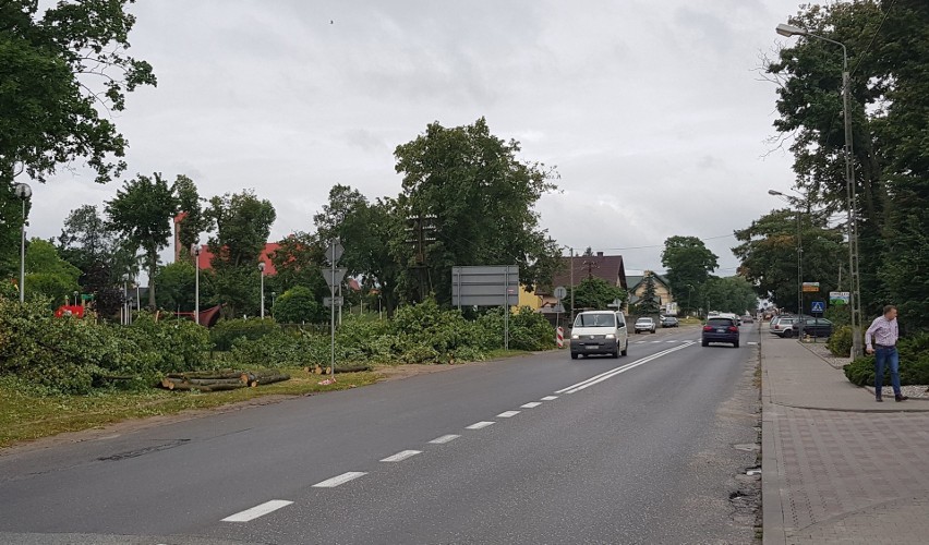 Ostrów Mazowiecka. Wycinają drzewa na Różańskiej. „To prawdziwa siekierezada” - mówi mieszkaniec, który nas zaalarmował 