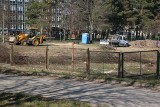 W Lipnie zamiast parku przy szpitalu będzie market? Wycięli drzewa, roboty ruszyły [zdjęcia]