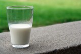 Tych produktów nie łącz z mlekiem. Takie połączenia są niezdrowe - w zestawieniu m.in. płatki zbożowe
