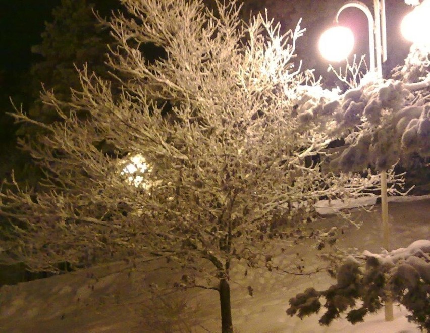 Zimowo-świąteczne zdjęcia internautów