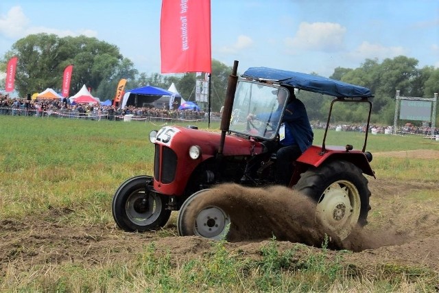 Wyścigi traktorów przyciągają widzów i uczestników w różnym wieku.