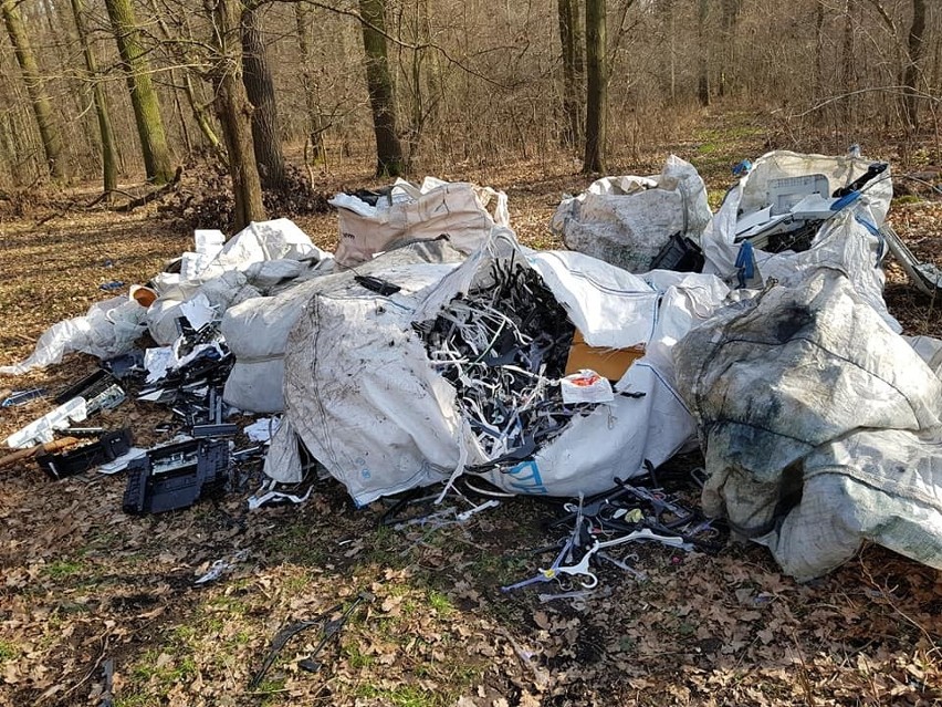 Góra śmieci z TK Maxx w lesie pod Wrocławiem [ZDJĘCIA]