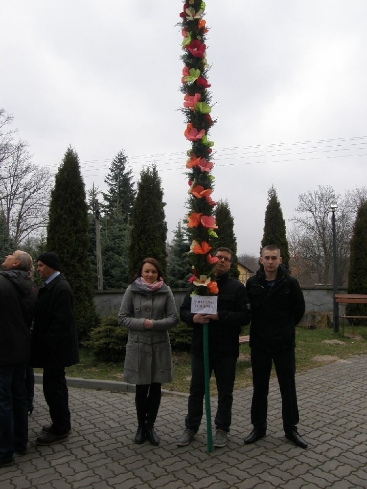 Wielkie palmy w Krynkach i Starachowicach