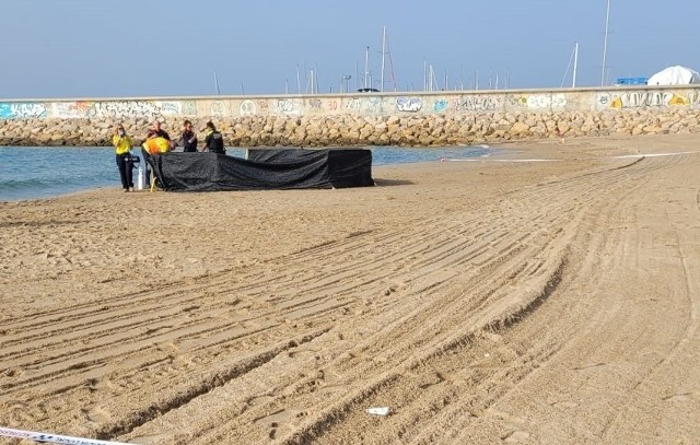 Sprzątający plażę pracownik publiczny znalazł rozczłonkowane zwłoki dziecka. Wiadomo już kim było
