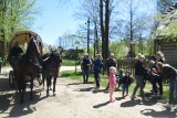 Majówka w Muzeum Wsi Radomskiej. 1 maja były spacery, przejażdżki bryczką i kucykami. Radomianie odpoczywali na świeżym powietrzu