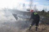 Wielki pożar łąk. Potrzebna była pomoc samolotu gaśniczego