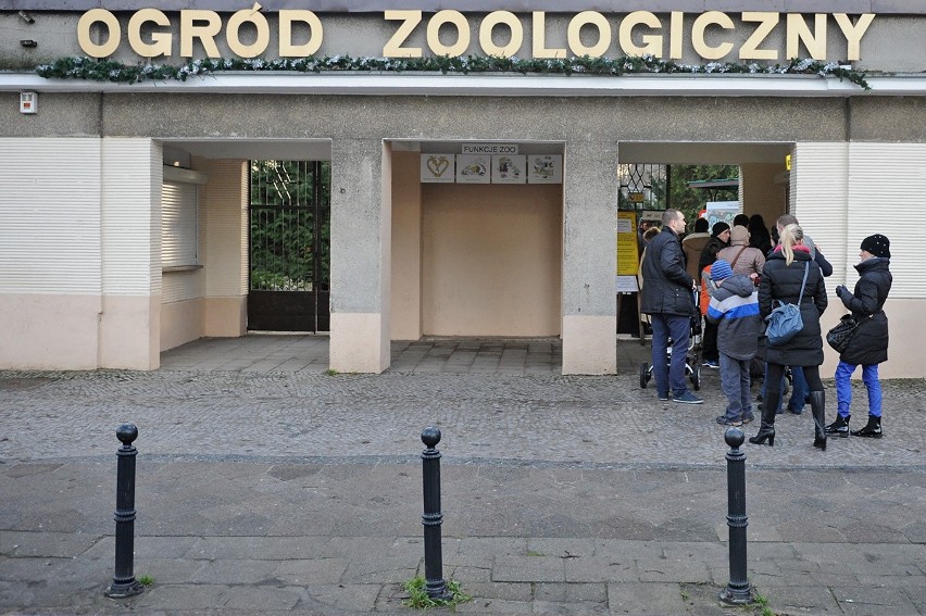 Stare zoo w Poznaniu: Opłata za wstęp nie zniechęciła...