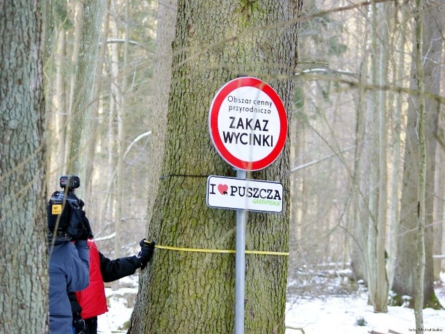 Greenpeace w Puszczy Białowieskiej