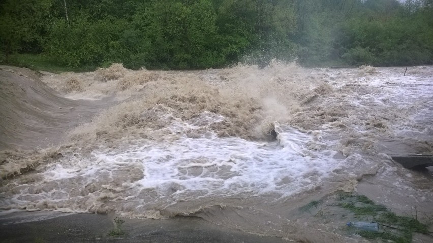 Powódź 2014: W Czeskim Cieszynie zbudowano trzy tamy w pobliżu Olzy ZDJĘCIA