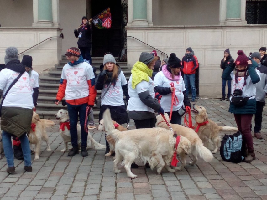 26. Finał WOŚP z "goldenami" w Poznaniu. Na Orkiestrę...