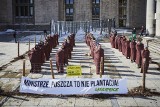 Puszcza to nie plantacja. Protest aktywistów Greenpeace w obronie Puszczy Białowieskiej (zdjęcia)