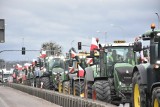 Rolniczy protest w Malborku. 20 marca do późnego popołudnia mogą wystąpić utrudnienia na drodze krajowej nr 22. Będzie też pikieta w centrum