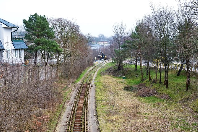 Sosna (z lewej strony) na prywatnej posesji pójdzie pod topór, bo urosła bliżej niż 15 metrów od torów. Drzewa z prawej strony też.