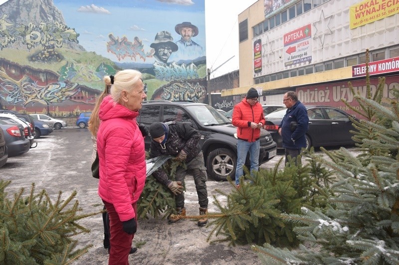 Nowy Sącz. Jeśli prawdziwa choinka to cięta czy w doniczce, a może jednak sztuczna? [ZDJĘCIA]