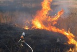 22-latek z Gorzyc podpalił 3 hektary łąk. Grozi mu do 5 lat więzienia