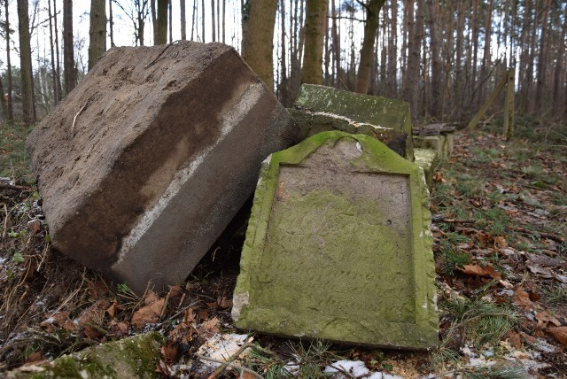 Tak wyglądał poniemiecki cmentarz we Wrociszowie, gm. Nowa Sól po rozpoczęciu prac, 6 stycznia 2022 r. Zobacz więcej zdjęć w galerii >>>