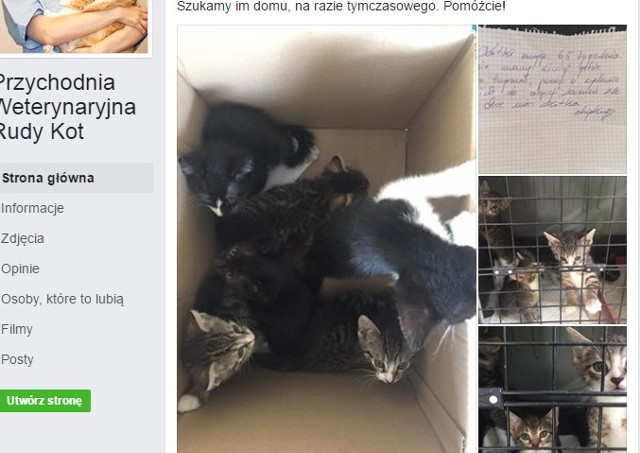 Przychodnia Weterynaryjna Rudy Kot z Grudziądza zamieściła taki komunikat na Facebooku