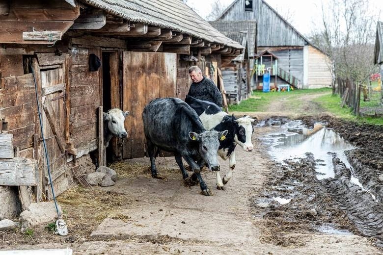 Rolnicy. Podlasie. Kolejny nowy sprzęt u Gienka i Andrzeja