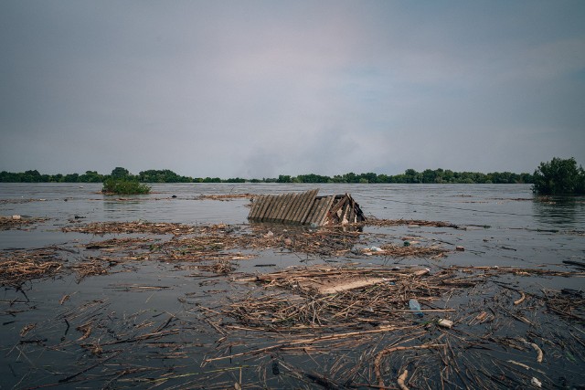 Tereny zalane po zniszczeniu tamy są spichlerzem nie tylko dla Ukrainy