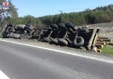 Powiat tomaszowski: Przewróciła się ciężarówka z drewnem. Kierowca tłumaczył, że to przez bąka, który wleciał do kabiny