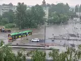 Ogromna ulewa w Poznaniu. Strażacy mają ponad 1600 zgłoszeń - podtopione domy, piwnice, obalone drzewa i zawalone dachy